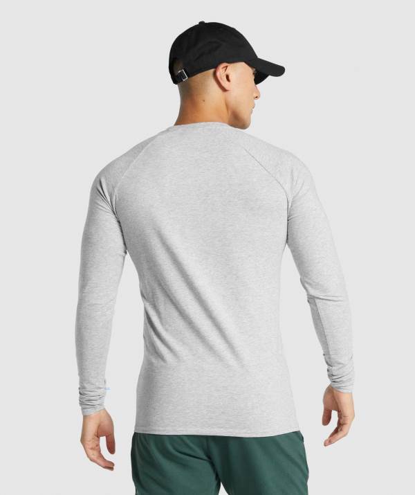 Panske Mikiny Gymshark Critical 2.0 Long Sleeve Svetlo Siva | UJ4867290